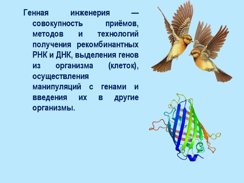 Генная инженерия — совокупность приёмов, методов и технологий получения рекомбинантных РНК и ДНК, выделения